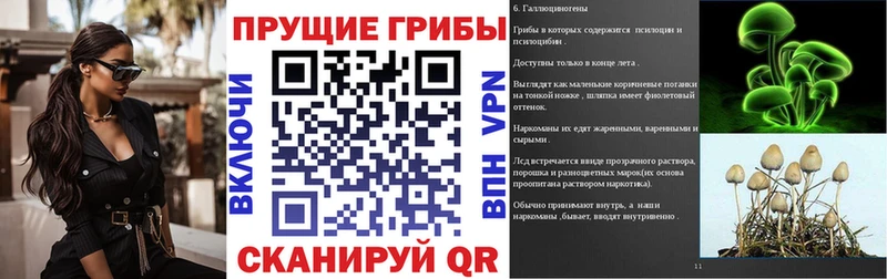 Купить где  Воронеж  Галлюциногенные грибы Magic Shrooms 